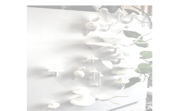 Fungus Magnet Set (1hr)